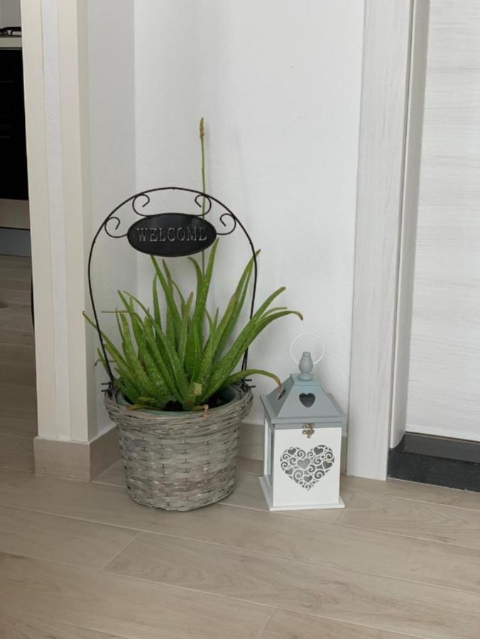 Apartment Salov Trogir Værelse billede